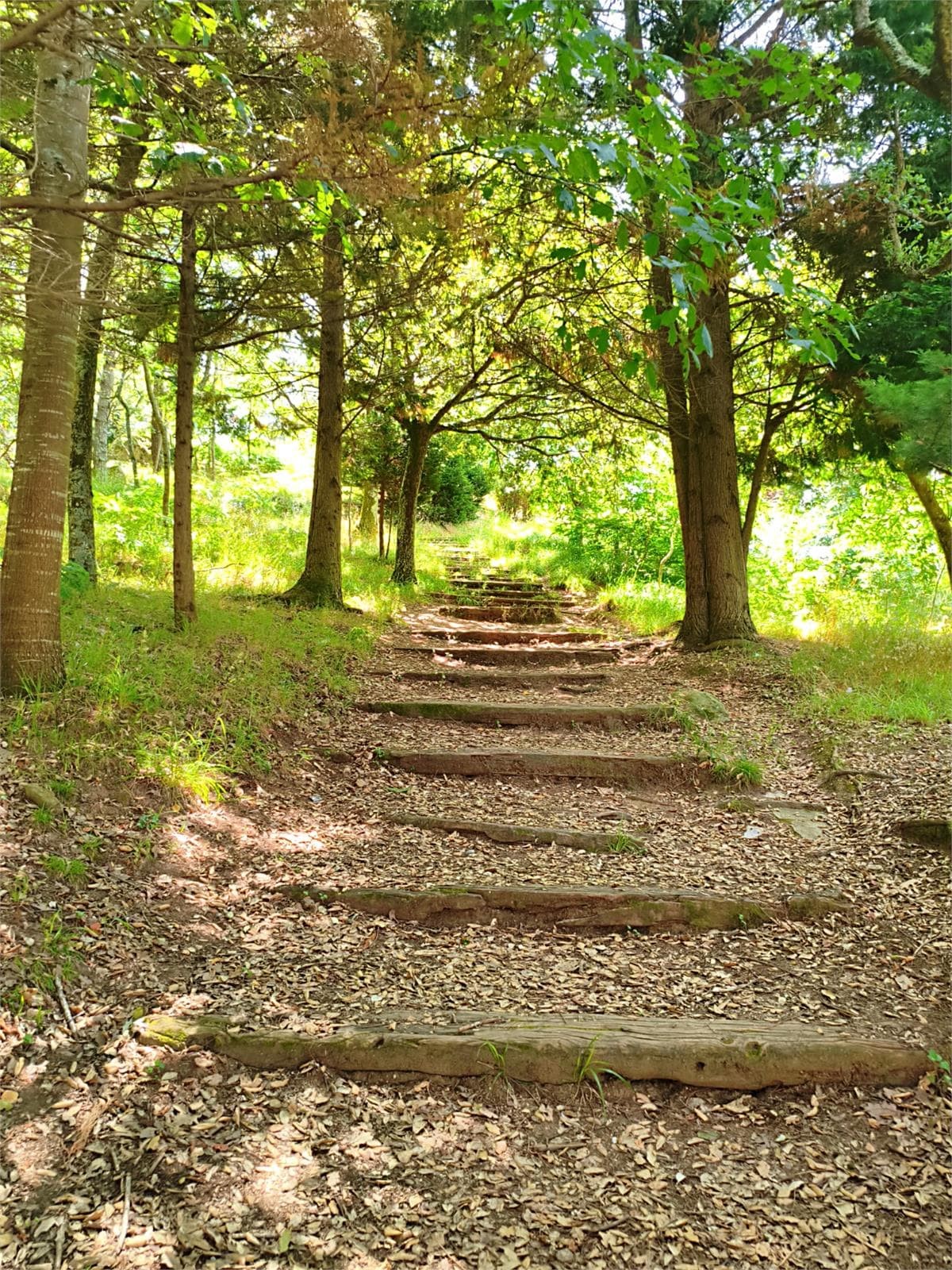 Qué ver en Cambados: un paseo por sus rincones más auténticos - Imagen 1